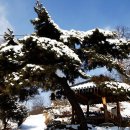 운주목장 이미지