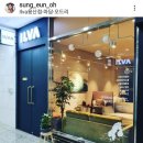 오드리ILVA