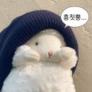 희 이미지
