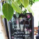 파파스디마지오 네이버블로그