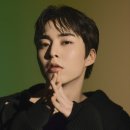 100 이미지