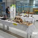 한국숲해설가협회 이미지