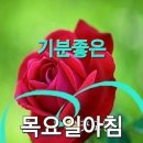 향기 Daum카페