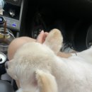 다남약국 이미지