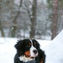 방주동물병원 이미지