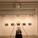 가리봉비디오 | [잘 사는 청년] 한여름밤의 꿈 - -한겨레를 만나다