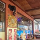 타이야소 이미지