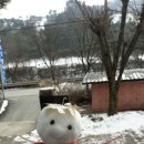 모닝펠리스 이미지