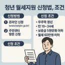해로고시원 | 청년 월세지원 신청방법, 조건, 꿀팁 총정리 (2025년 기준)