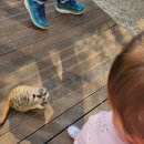 경태농장 이미지