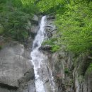 아홉사리로 이미지