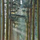 남도1농장 이미지