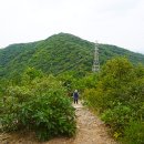 나비공원입구 사거리~평천로 7 신영자동차 앞 삼거리 | 인천둘레길 2코스 : 징매이고개 ~ 중구봉 ~ 천마산 ~ 인천나비공원