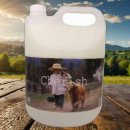 체리쉬퍼피 이미지