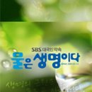 진안 소태정휴게소 네이버블로그