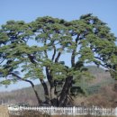 장현2리 이미지