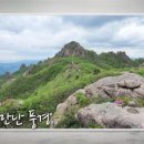 더본병원 네이버블로그