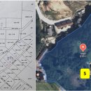 대관령약국 이미지