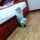 포동이농장 이미지