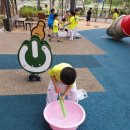 용인대 청당 태권도 이미지