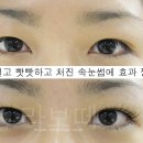 샵라보떼 이미지