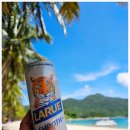 종일코스 이미지