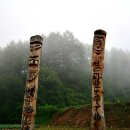 돌배나무 민박 이미지