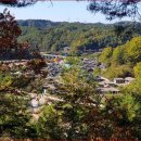 여주-1127 | 영주 무섬마을, 외나무다리 전통의 깊이를 걷다