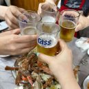 채석포항 | [충남/태안] 채석포항 제철 꽃게 맛집 &#39;황성횟집&#39; | 금어기 끝