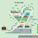 엘림잔디 | [안성] 근교 나들이 추천 안성 <파크엘림>