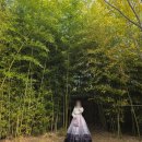 장군마을2길 | 전주 1박2일 여행 코스 정리 l 내 돈 내산 전주 맛집 추천!