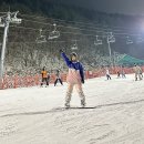 정선 | 하이원 렌탈샵, 하이앤하이 리프트권 장비 의류 대여 강추 후기