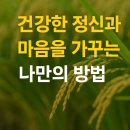 궁촌2리마을회관 | 기타와 들꽃, 그리고 한 문장｜건강한 정신을 만드는 나만의 루틴