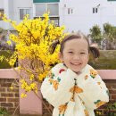 새나래유치원 이미지