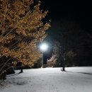 치악신림오토캠핑장 이미지