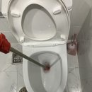 이레스테이 이미지