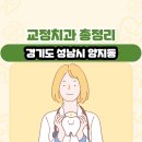 미소래치과의원 | 경기도 성남시 양지동 교정치과 총정리
