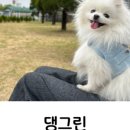 댕그리마켓