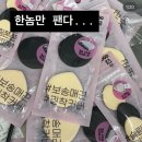 상아동물병원 | 나나의 의식의흐름/ 지나가버린 일상들