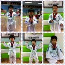 키즈중앙태권도장 이미지