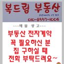 복드림공인중개사사무소 이미지