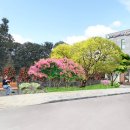 수산2리 마을회관 이미지