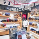 세기피앤씨 빌링햄 하들리 프로 2020 예쁜 카메라 가방 추천