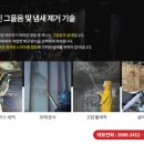 에버그린행정사