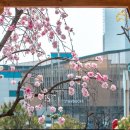 증평도서관 앞 이미지