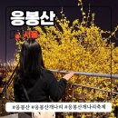 개나리어린이공원 공중화장실 | 서울 가볼만한곳 응봉산 개나리 축제 실시간 개화상황 야경