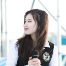 위미 이미지