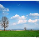 서해목장 이미지