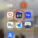 디디치킨 오창점 | [중국 상하이] 3박 4일 내 돈 내산 자유여행 1일차(청주공항, 상하이 푸동공항, 디즈니랜드 꿀팁&amp;밥집...