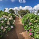 해금강로 이미지